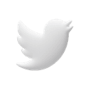 Twitter Bird